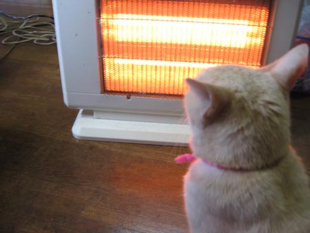 アップロードファイル 1041-1.jpg