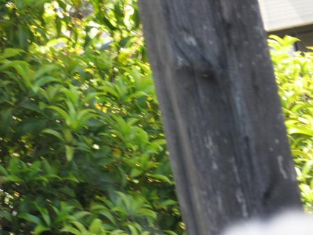 アップロードファイル 1208-1.jpg