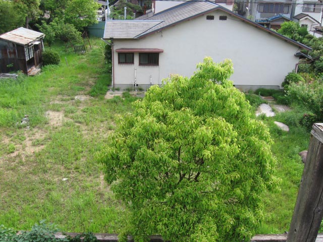 アップロードファイル 1219-1.jpg
