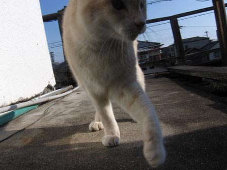 アップロードファイル 1498-1.jpg
