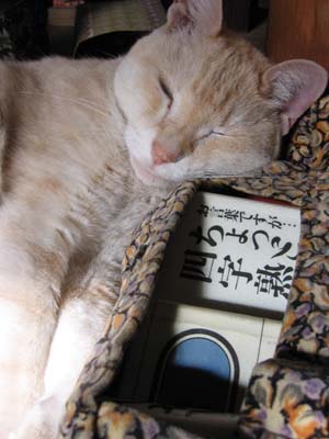 アップロードファイル 151-1.jpg