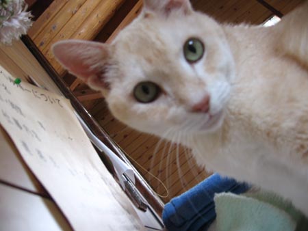 アップロードファイル 1609-1.jpg