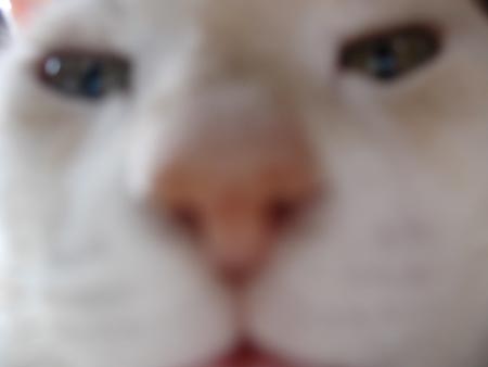 アップロードファイル 1733-3.jpg