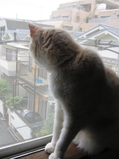 アップロードファイル 2014-1.jpg