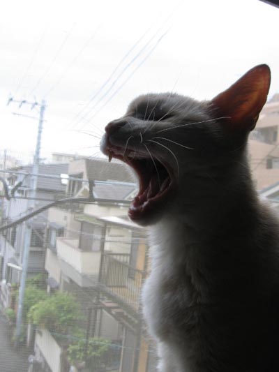 アップロードファイル 2014-3.jpg