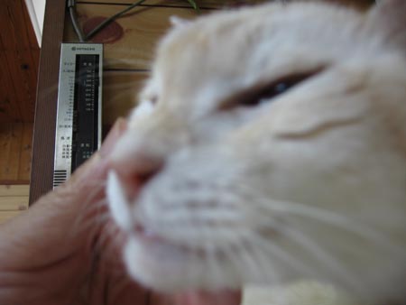 アップロードファイル 2090-1.jpg