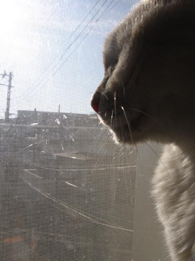 アップロードファイル 2159-1.jpg