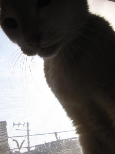 アップロードファイル 2194-1.jpg