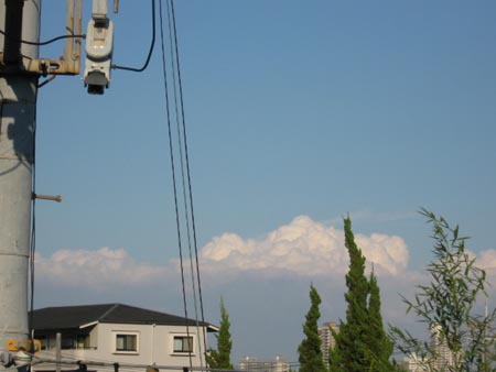 アップロードファイル 235-1.jpg