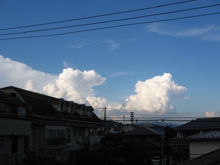 アップロードファイル 236-1.jpg