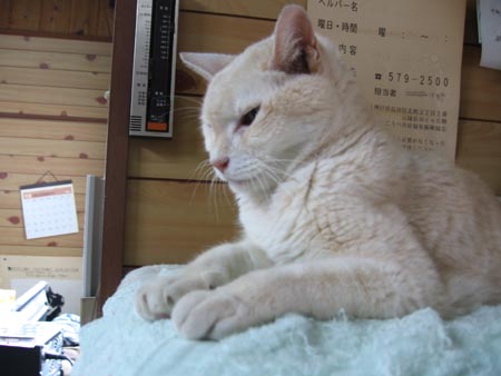 アップロードファイル 2384-1.jpg