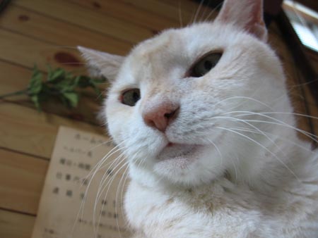アップロードファイル 2409-1.jpg