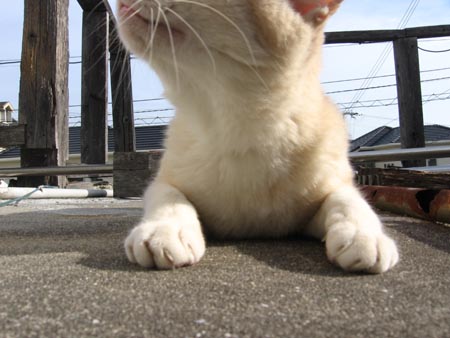 アップロードファイル 2504-1.jpg