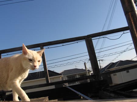 アップロードファイル 2577-3.jpg