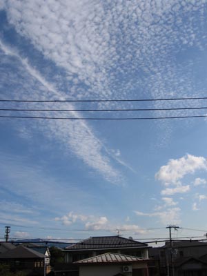 アップロードファイル 278-1.jpg