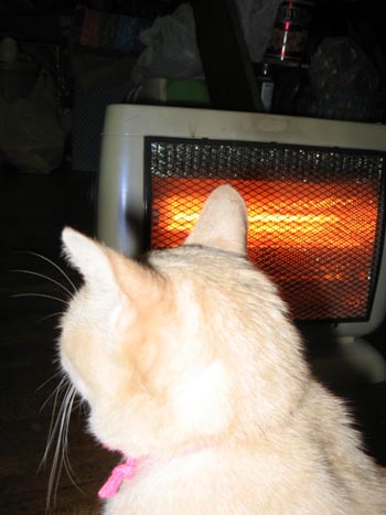 アップロードファイル 291-1.jpg