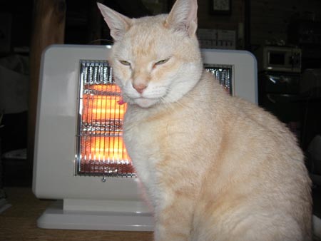 アップロードファイル 362-1.jpg