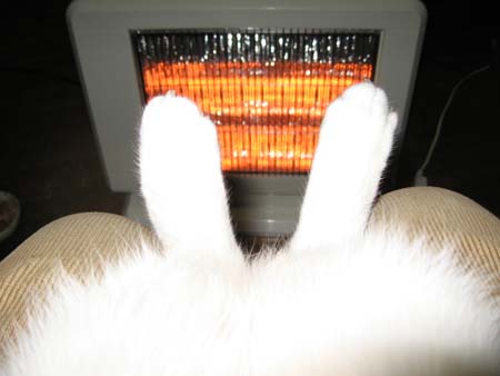 アップロードファイル 378-1.jpg