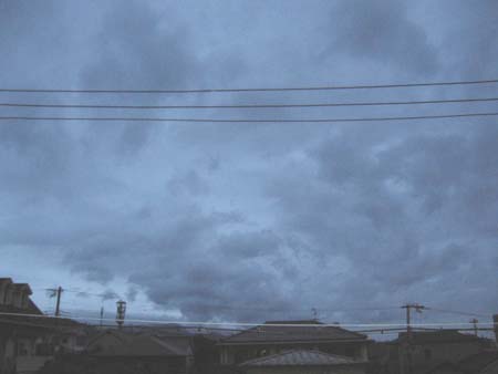 アップロードファイル 486-1.jpg