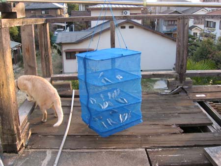 アップロードファイル 69-1.jpg
