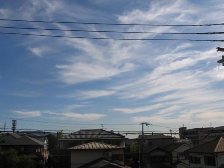 アップロードファイル 972-2.jpg