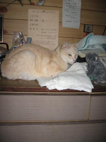 アップロードファイル 974-1.jpg